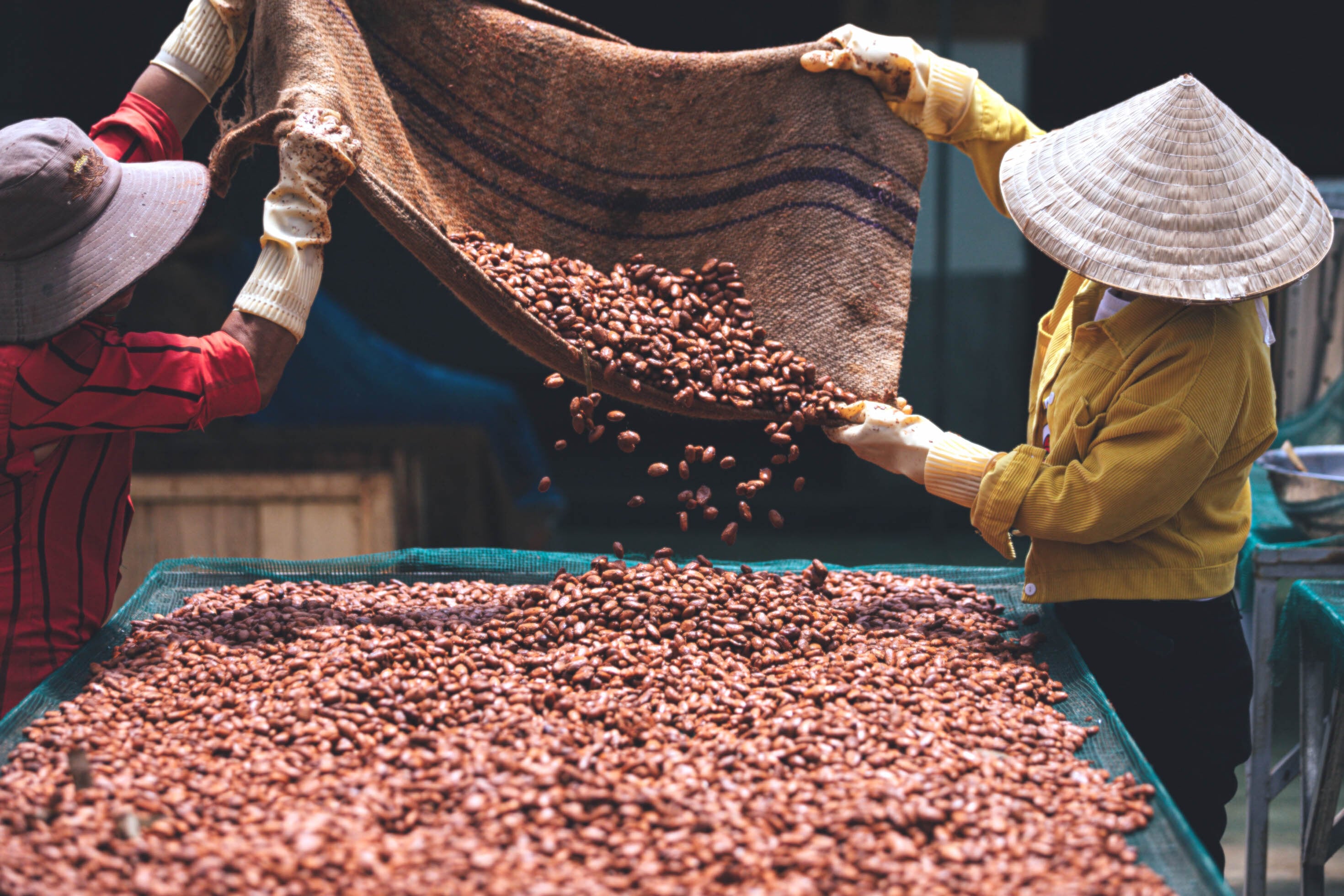 【ICA WORLD銀賞受賞！】BINONファームトゥーバー  タブレット チョコレート（小）