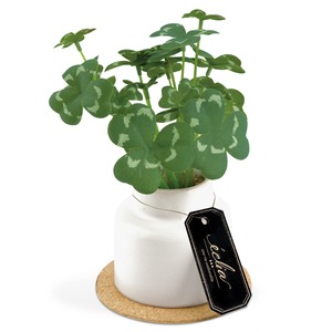 【人気】キシマ kishima 人工観葉植物 フェイクグリーン 人工植物 枯れない 造花グリーン 触媒 消臭 抗菌 空気清浄 クローバー KH-61247 Sサイズ