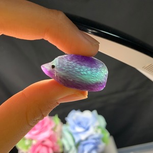 5ハリネズミフローライト