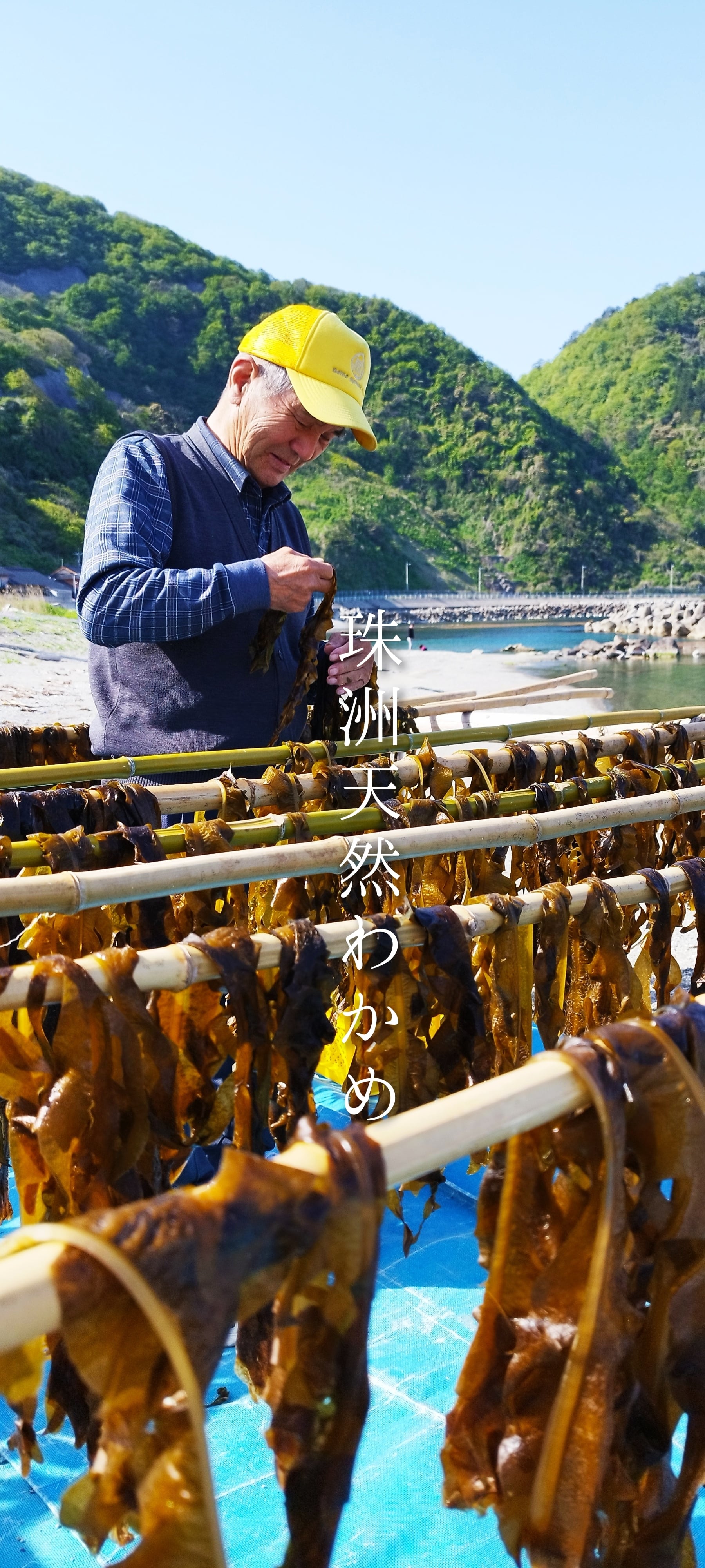 珠洲天然わかめ　45ｇ