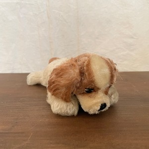 おやすみワンコ