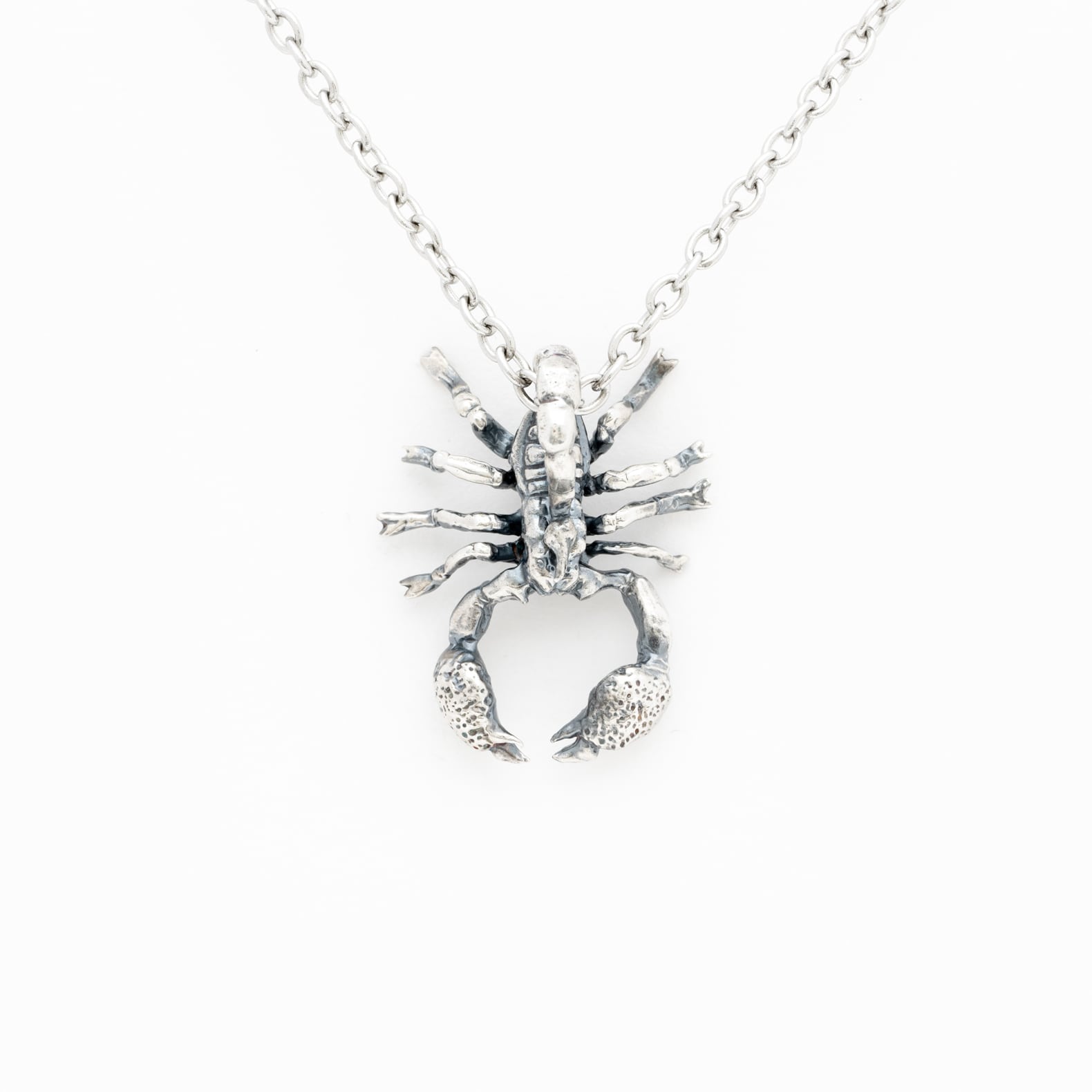 コールドアイズ　バードイータータランチュラペンダントシルバーネックレス Cold I's バードイーター タランチュラ ペンダントトップ