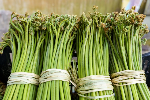 山形県　飯豊町産　ワラビ　1kg