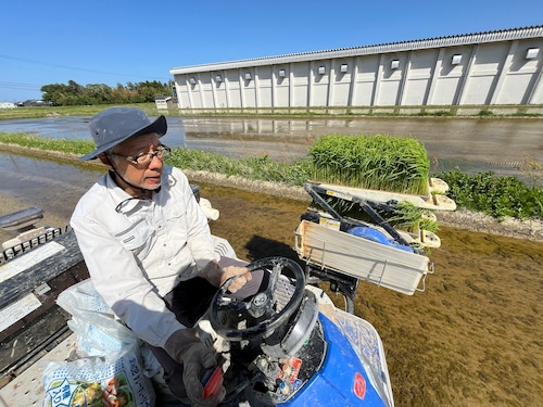 【予約販売R9.3月中旬発送】令和8年佐渡産コシヒカリ 10㎏・画像3