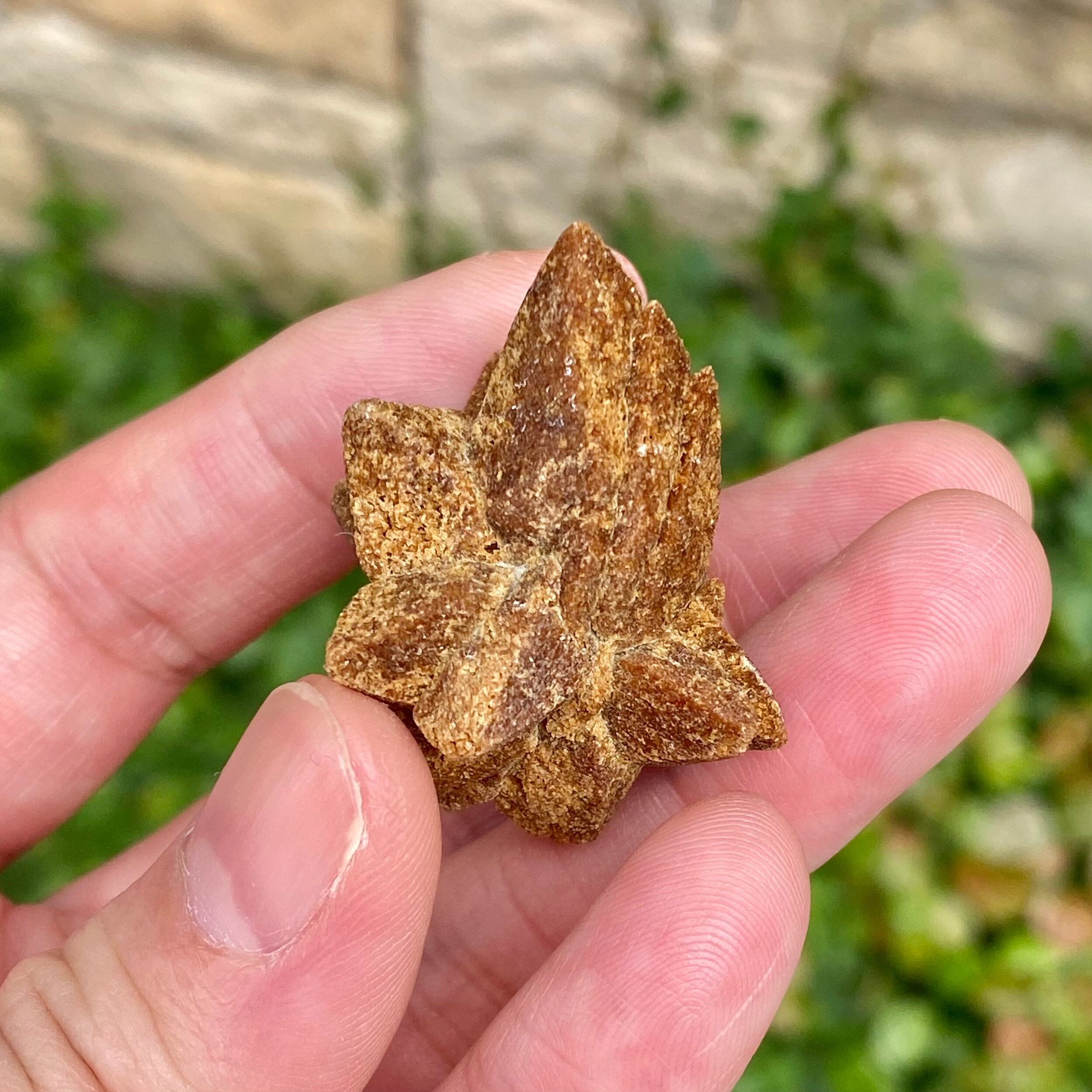 グレンドナイト | 石の魔法