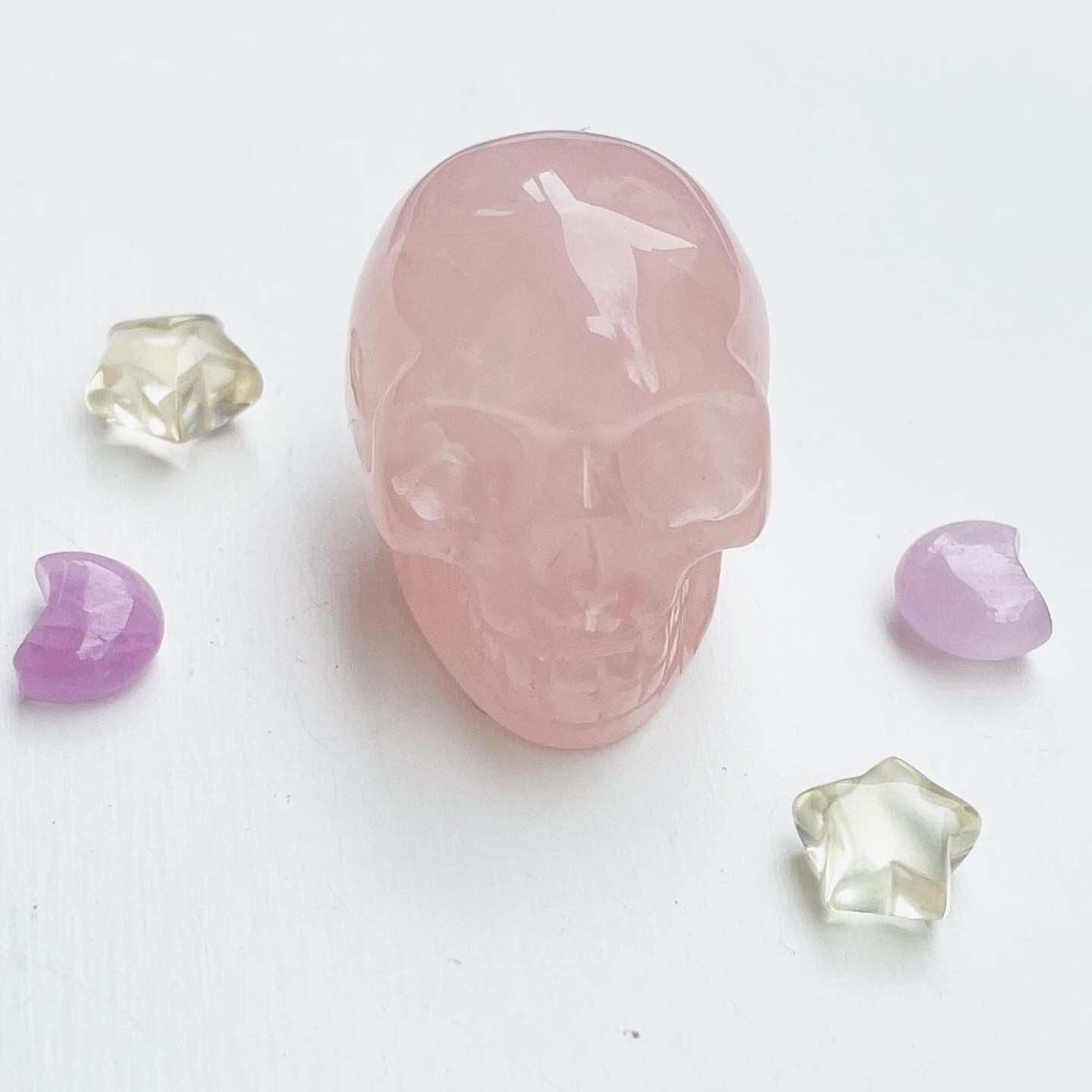 Rose Skull - Moon & Star C