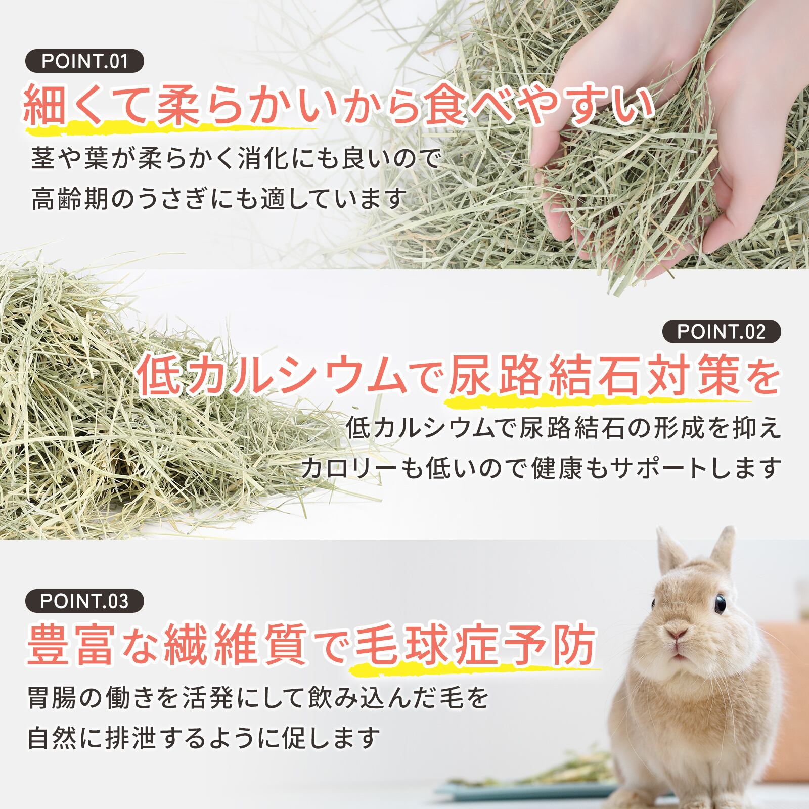 d6c70a22253149e89468b58b9c580a