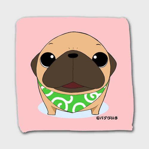 ミニタオル　パグ（フォーン）A