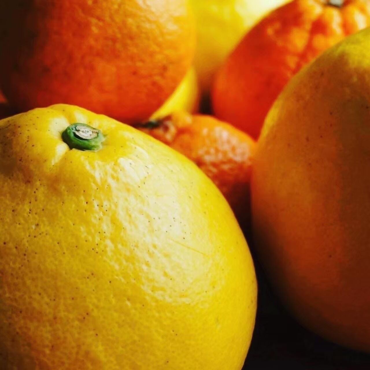 【7キロ】天草諸島・維和島の「旬の柑橘詰め合わせ」(家庭用)