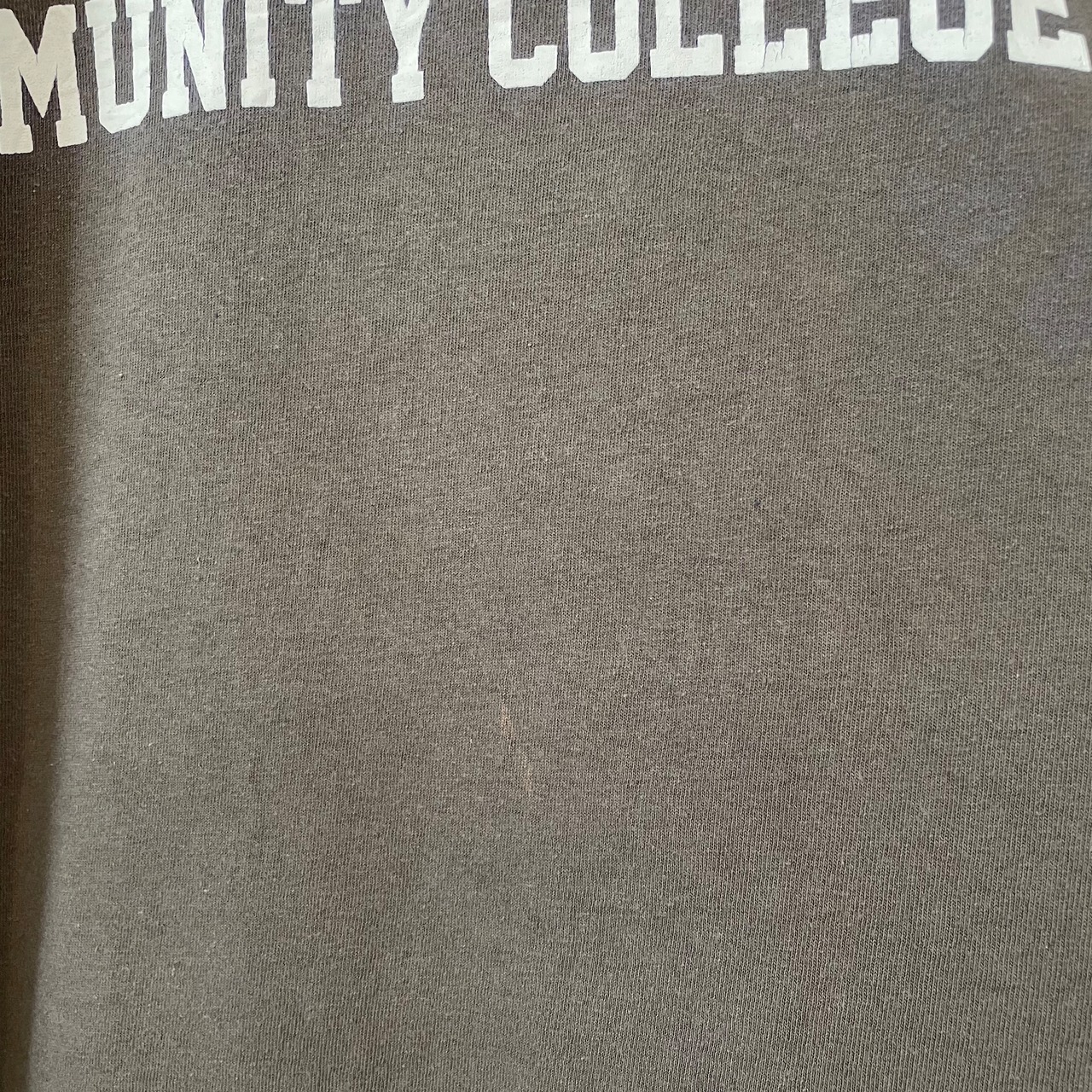 【GILDAN】カレッジ アイビー・テック・コミュニティ大学  プリント Tシャツ XL ビッグサイズ US古着