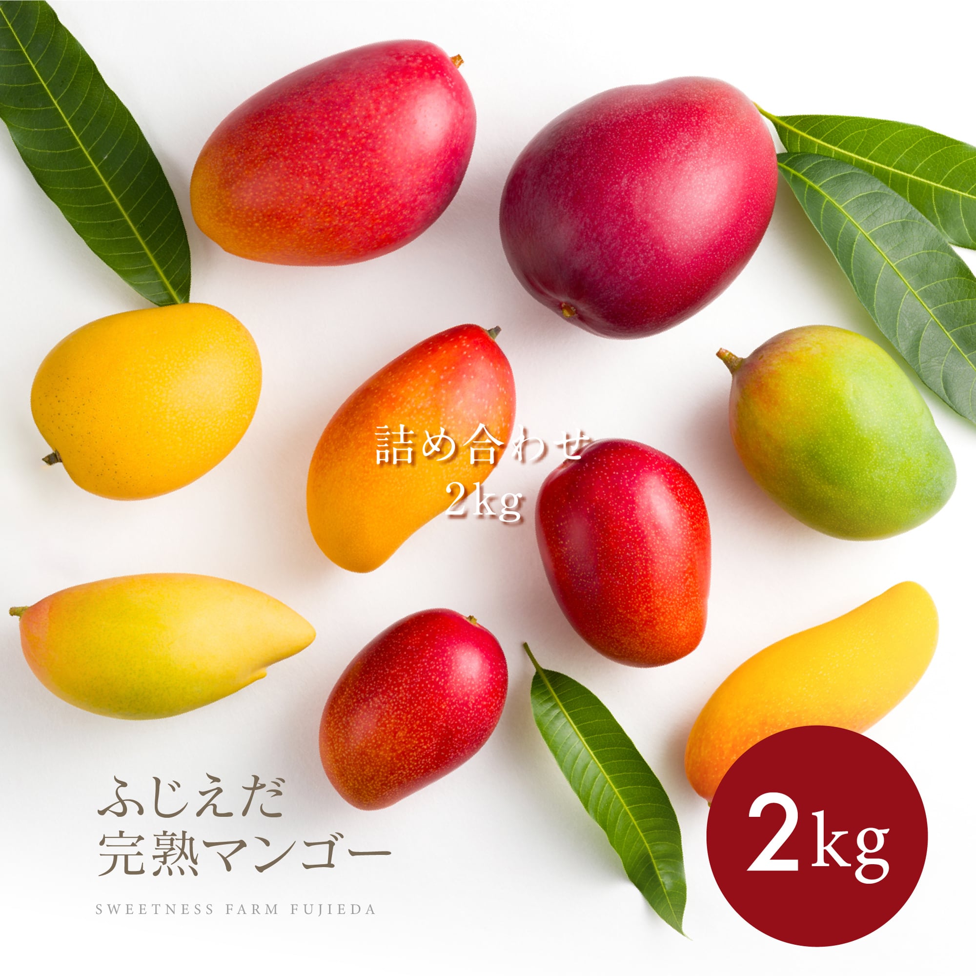 2026初物【詰合せ】品種ミックスよくばり2kg ※先行予約用