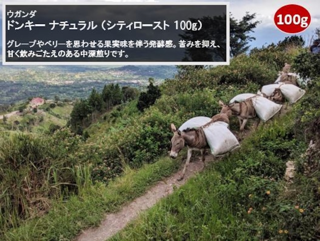 ウガンダ ルウェンゾリ ドンキー ナチュラル(シティロースト 100g)