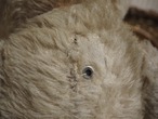 ブルーの瞳 大き目ベア(裂けあり) 画像12