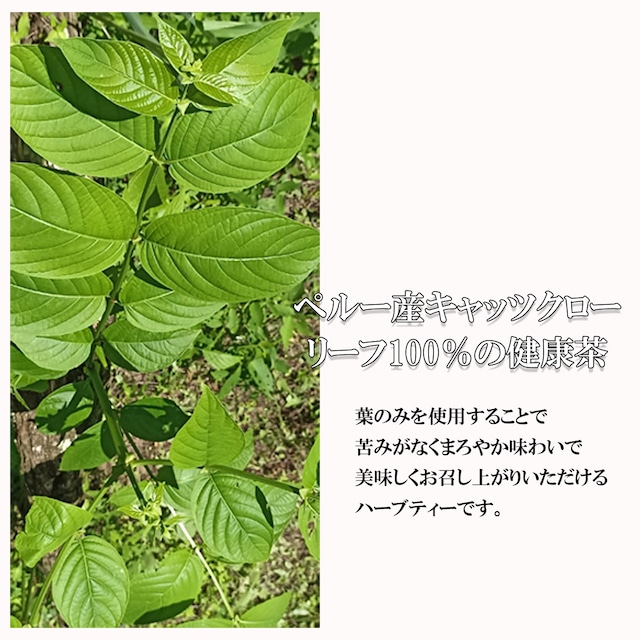 【１０％OFF／定期便／１ヶ月毎】キャッ茶ティーパック３０包入　送料無料