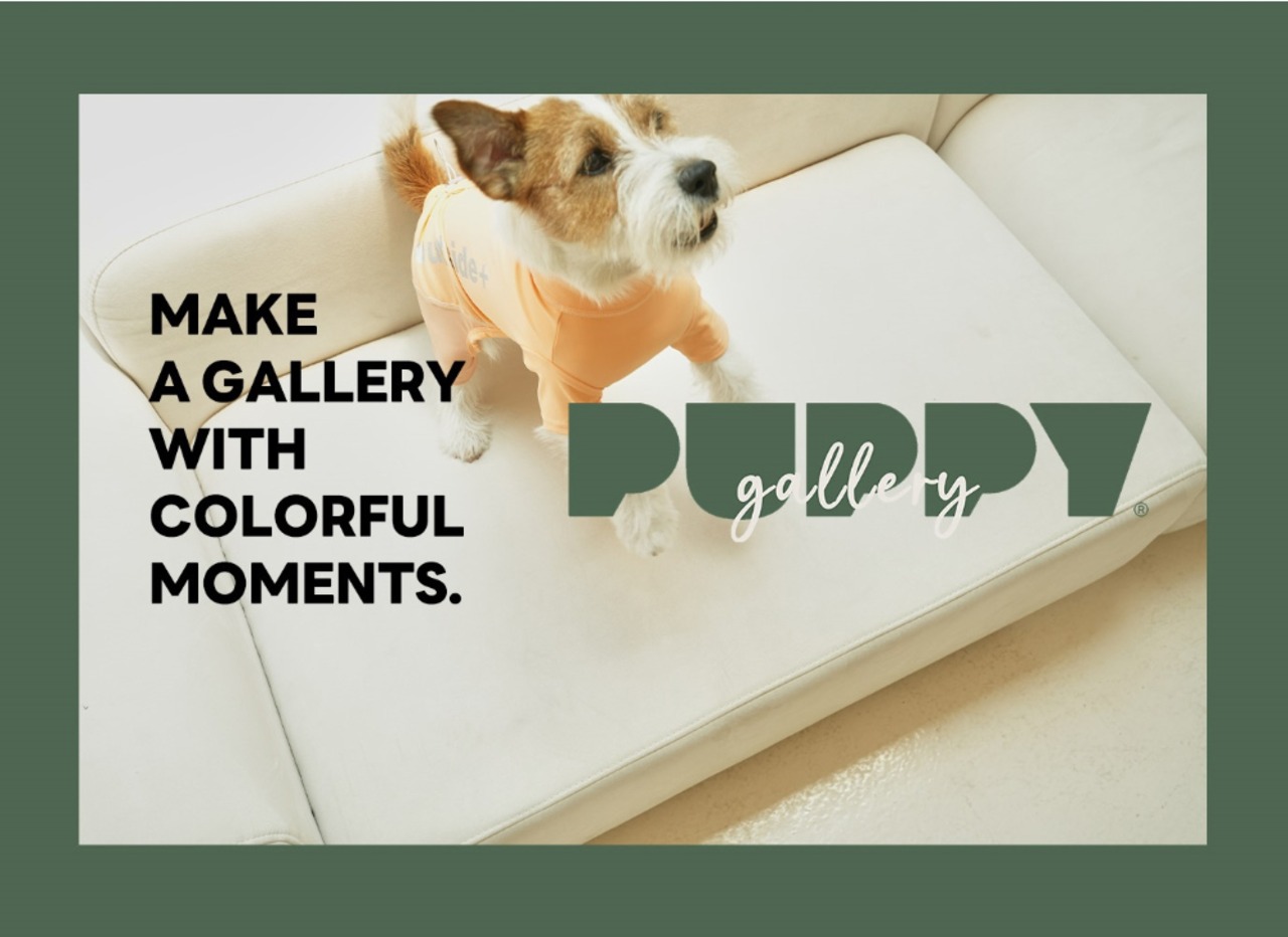 即納のみ【PUPPYGALLERY公式】スキンガードスーツ【Pink】L/XL