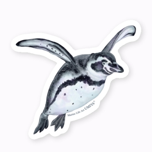 海の生きものステッカー（マゼランペンギン-05）