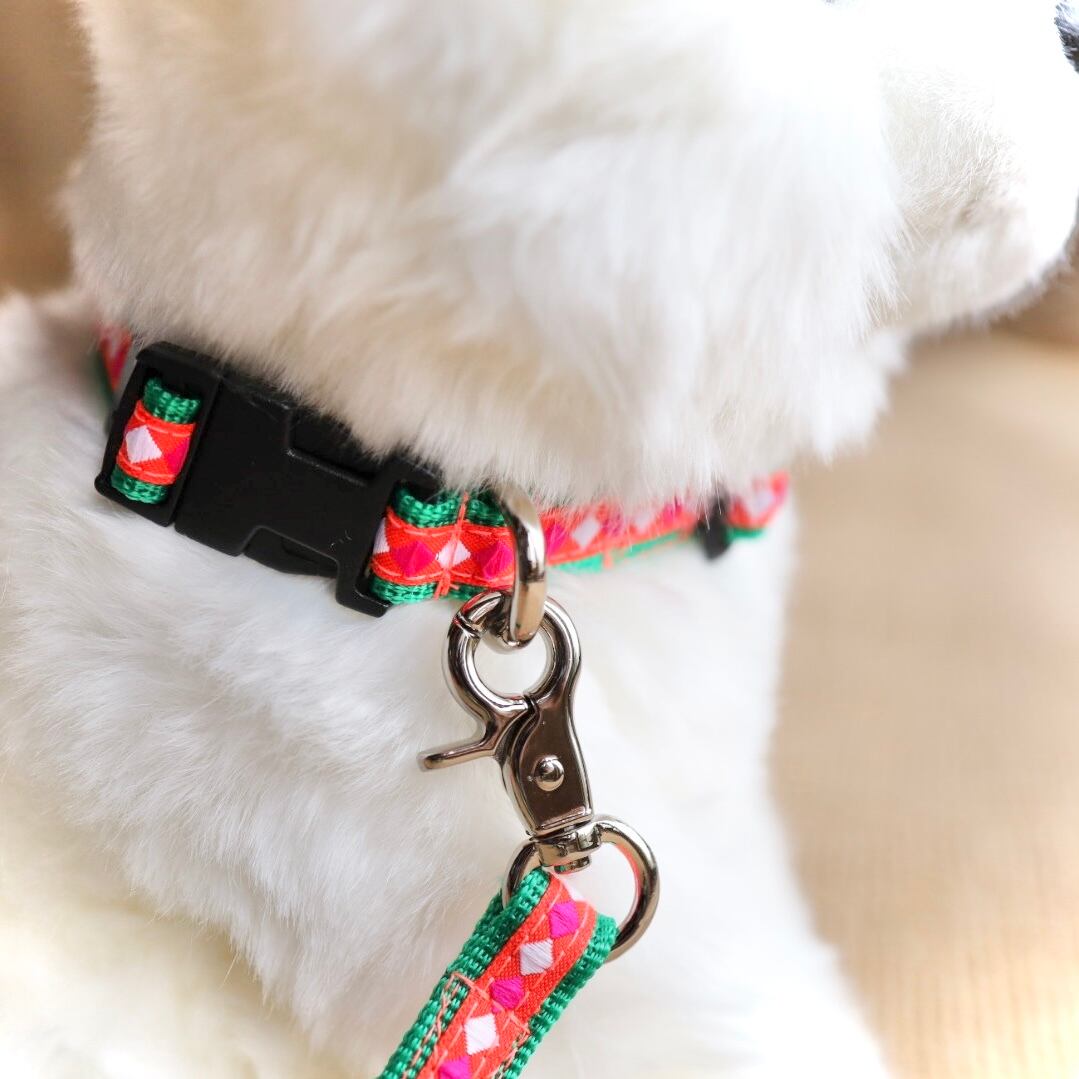 首輪&リード〈SSサイズ〉