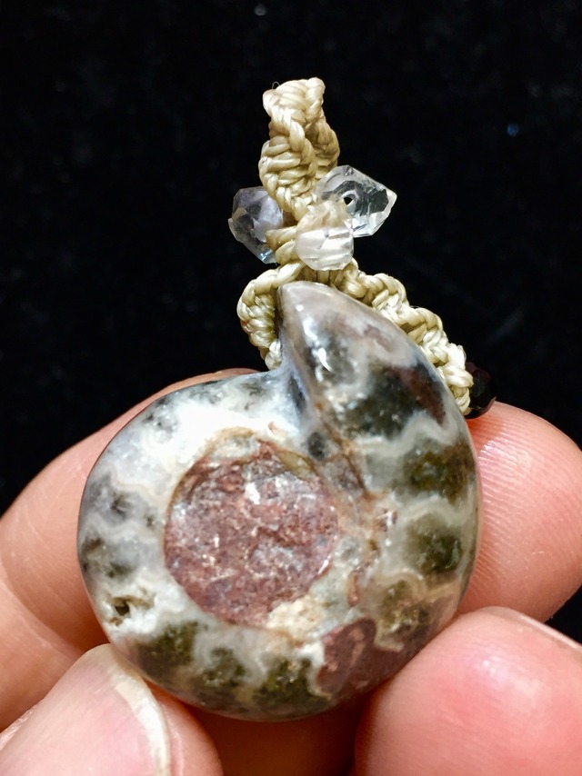 1) 化石ケオンPT