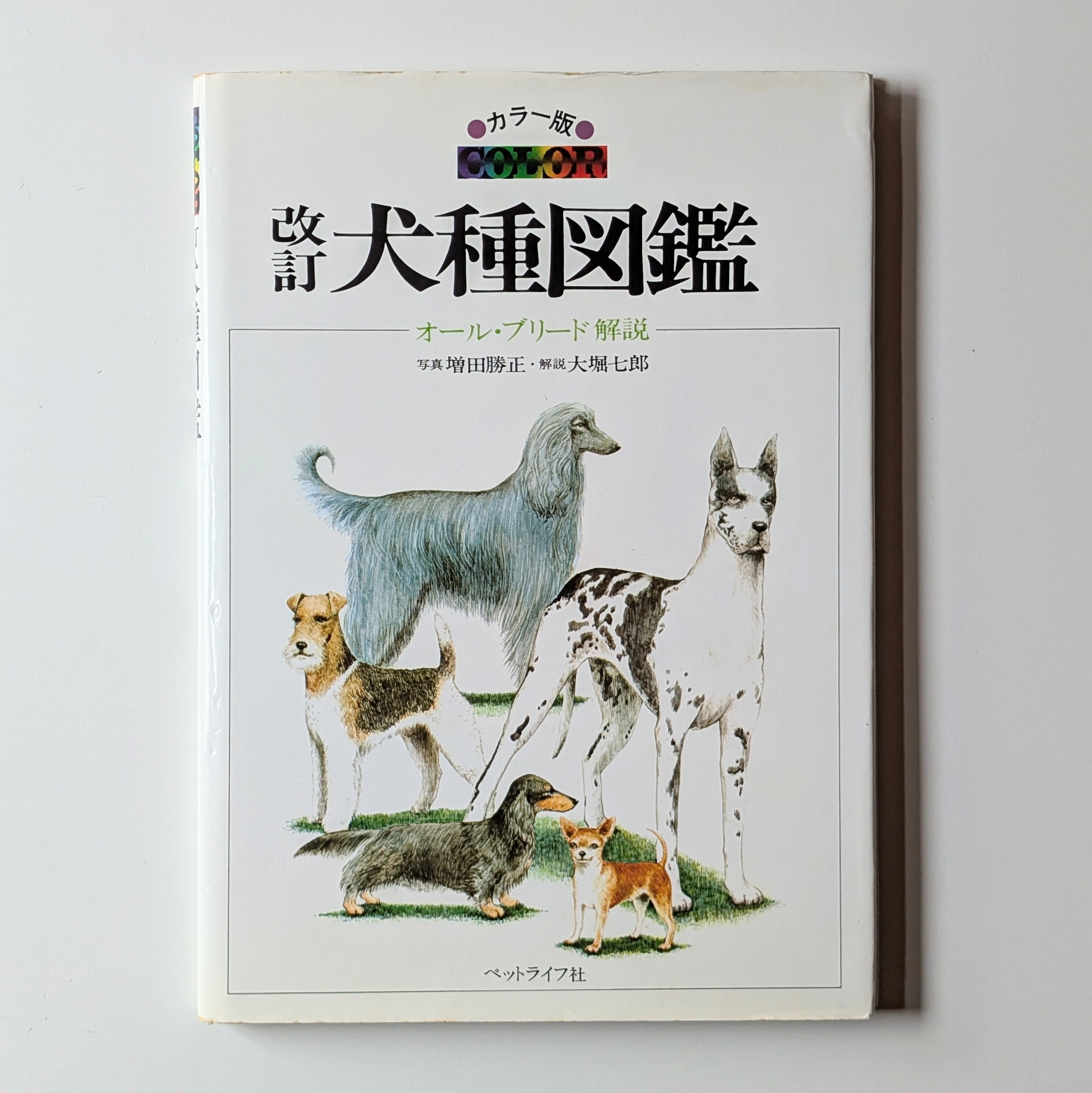 犬種図鑑-オール・ブリード解説- | イヌグラシ