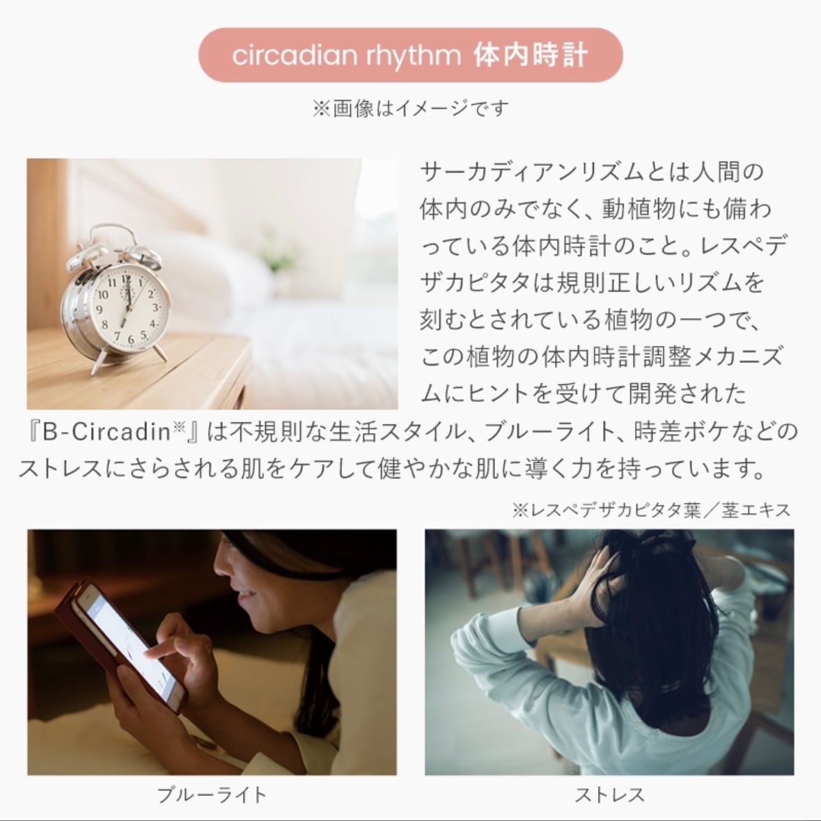 ふっくら若々しい手に】SPICARE ハンドクリーム | ECXIA online shop.