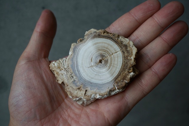 モロッコ産カルサイト/アラゴナイト Calcite / Aragonite 1638