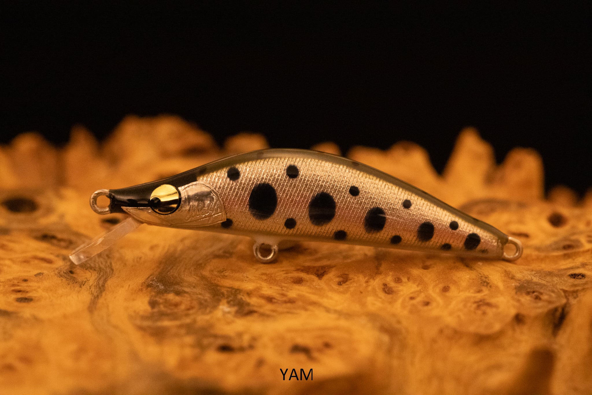 MAY Factory 皐月　TRAP 50HP