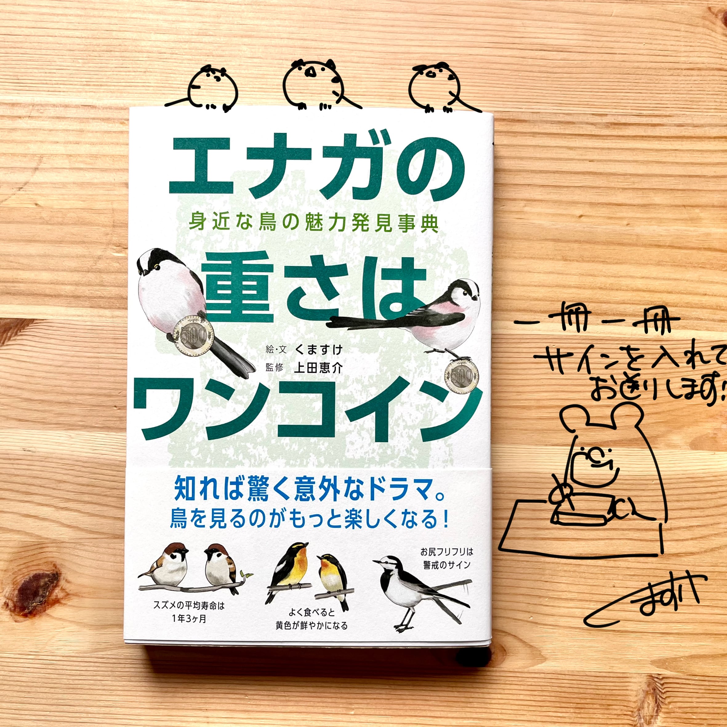 著者サイン入り】エナガの重さはワンコイン | 自然ガイドのネタ帳ストア