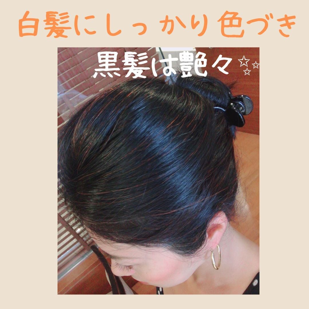 ペイズリーヘナシリーズ【オレンジ】PureHenna | ペイズリーヘナ【AAA