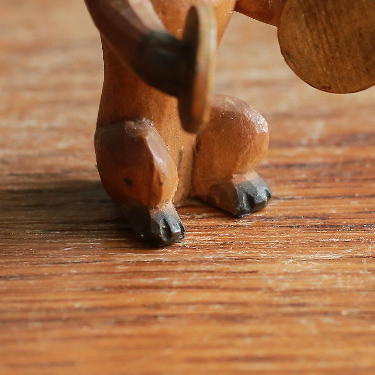 一生懸命演奏する、小さなイヌの音楽隊 2