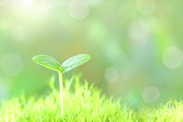 臼井式レイキ遠隔伝授　サードディグリー（リアルタイム再伝授）