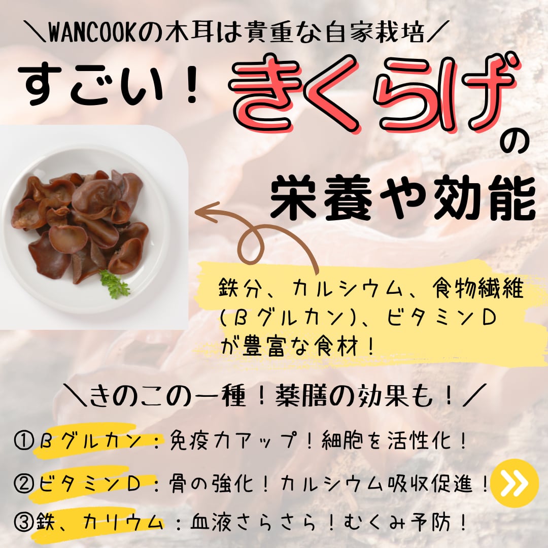 やぎミルク入りおからバーグ 各種お得セット