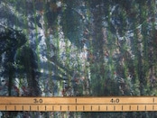 achada fabric a31 (2.4m)