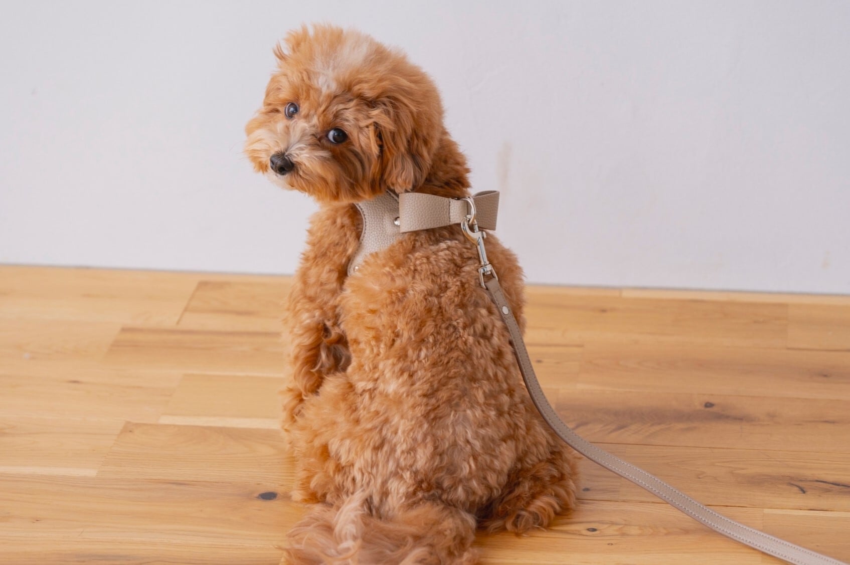 バックリボンハーネス 黒無地 [ハンドメイド] レイヤードファッション soph】バックリボンハーネス＋カフェリード | Milla Noue ミラヌー