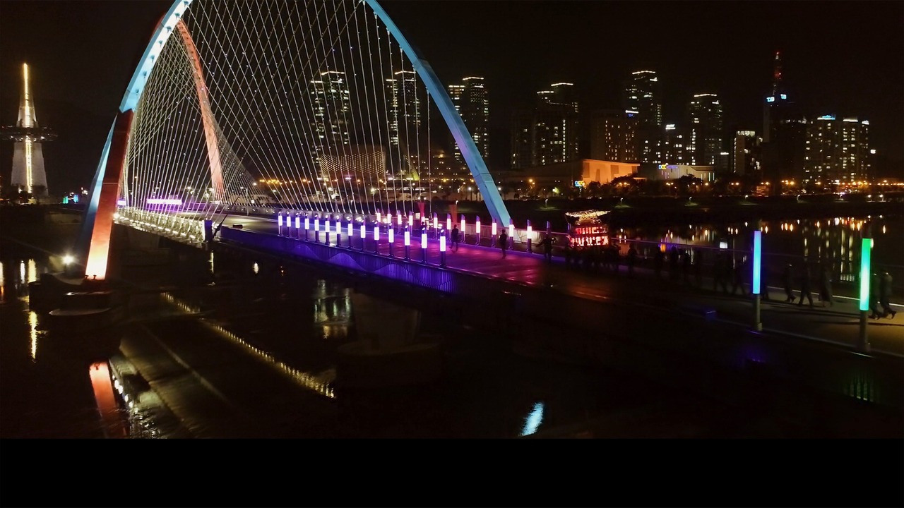 クリスマスセール：DVD「君への挽歌」