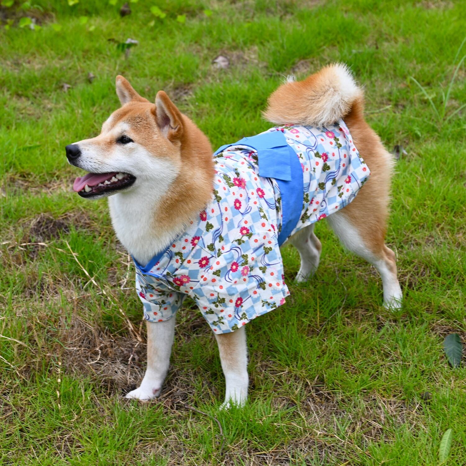 胸囲40~67cm 小さな柄の和服 浴衣