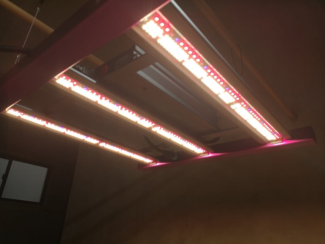 ◇ Helios Green LED シリーズ ／Helios Green LED DOPE（ドープ