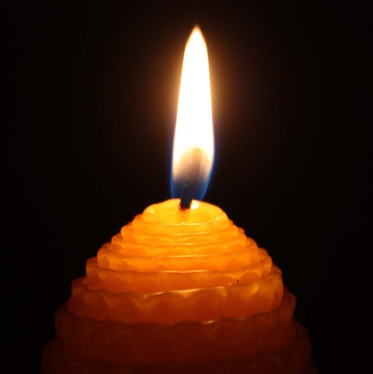 H-13 ハニカムスケップ L 蜜蝋キャンドル | 蜜蝋工房 ハチ蜜の森キャンドル