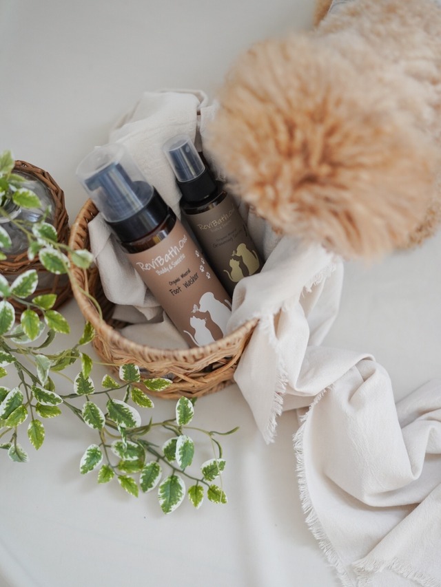 〈予約アイテム〉drops styling set / soft wood no.1