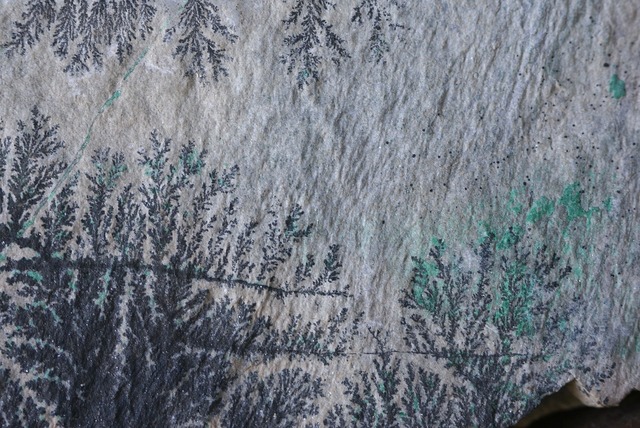 コンゴ産デンドライト・クリソコラ Dendrite / Chrysocolla ③