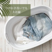 イセトウ(Isetou) ペットバス ソフトタブワイド ホワイト 23L 幅60.0×奥行40.0×高さ10.0~24.6cm 日本製 折りたたみ 水抜き栓付き 洗濯かご アウトドア 大容量 中型犬 コンパクト収納 ペット用 バスタブ ベビー 水遊びつけ置き I-563-1