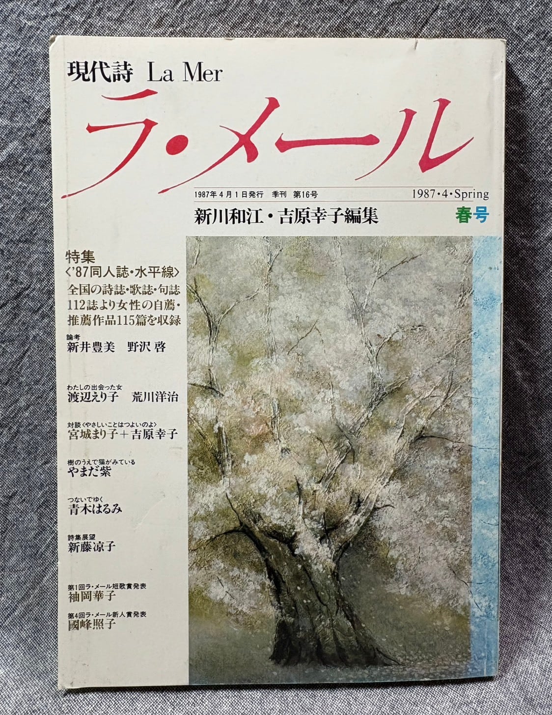 ネルーダ詩集 【海外詩文庫 14】 | あまかわ文庫