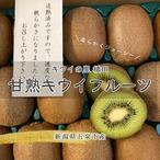 ハッピー　芯が甘い！【高級品】和歌山県産キウイフルーツ 5L 12個　5箱 キウイの里 橋田 甘熟キウイフルーツ | にいがた五泉商店