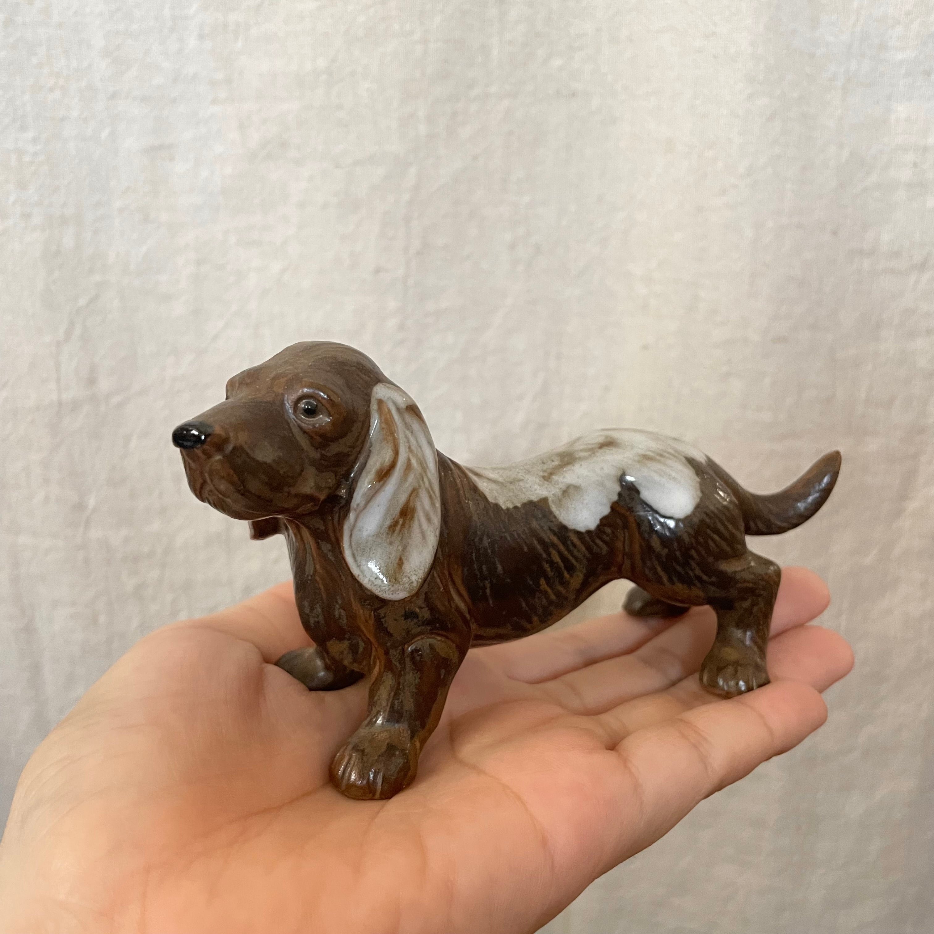 こげ茶色のダックス