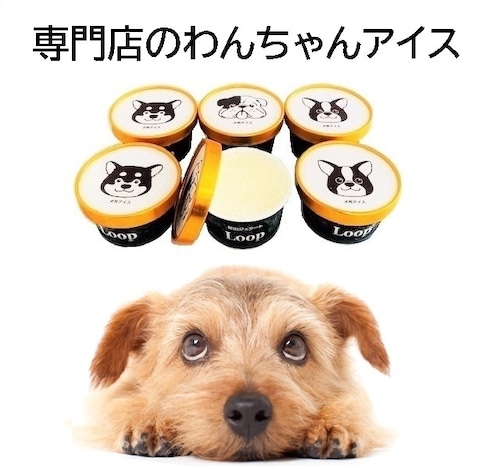 犬用アイス おやつ スイーツ 専門店のわんちゃんアイス6個入