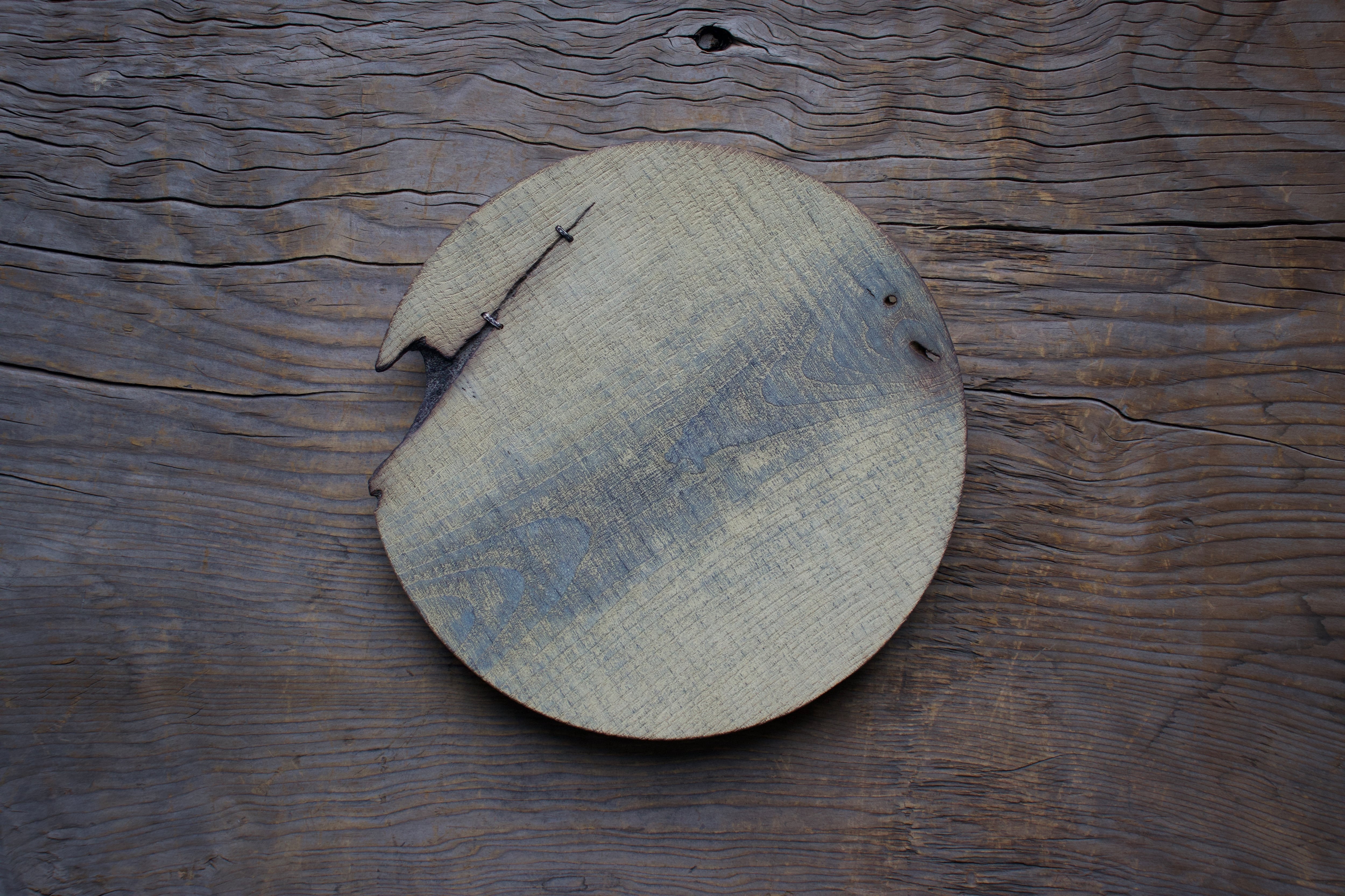 浮様丸皿280銀の鎹(2)