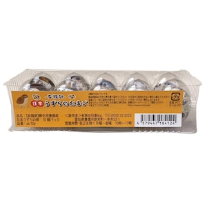 【有精卵】孵化用 豊橋産 日本うずらの卵 10個入り 1パック