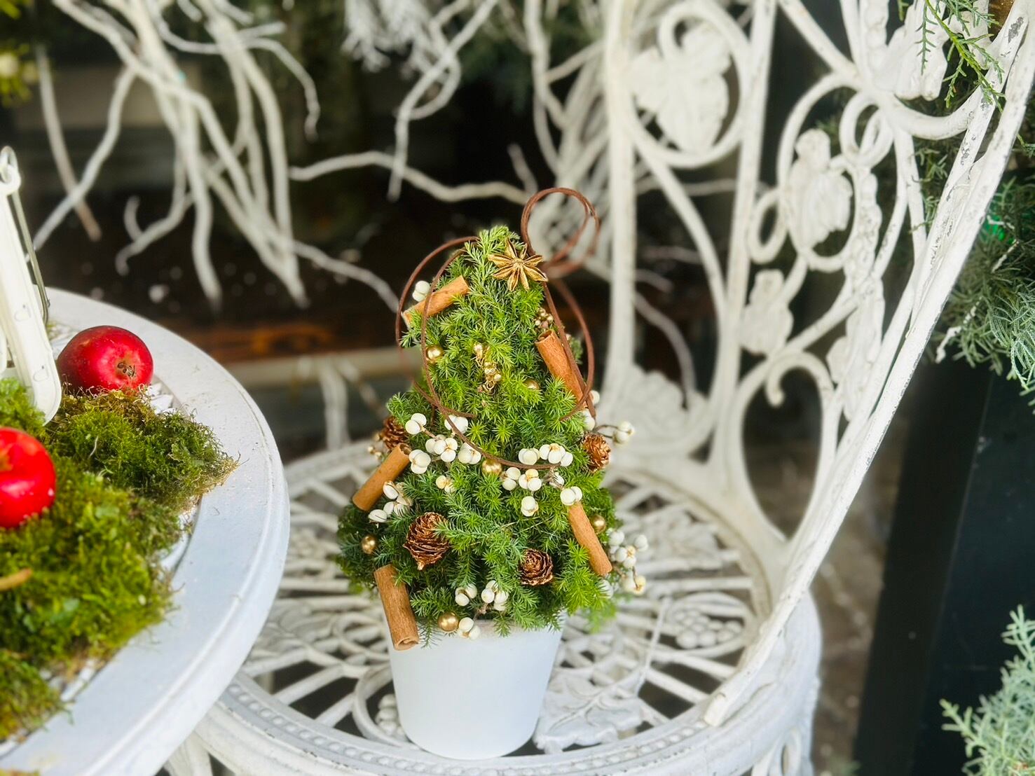 おまかせ フレッシュクリスマスツリー D