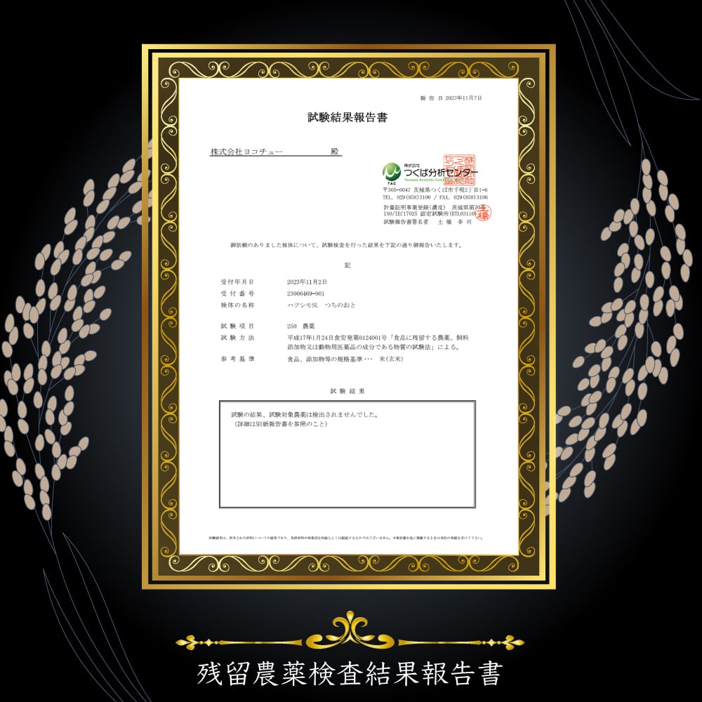 無農薬栽培米2kg『つちのおと』初霜【精米済】　（酵素ミネラル農法）岐阜県産 令和7年産