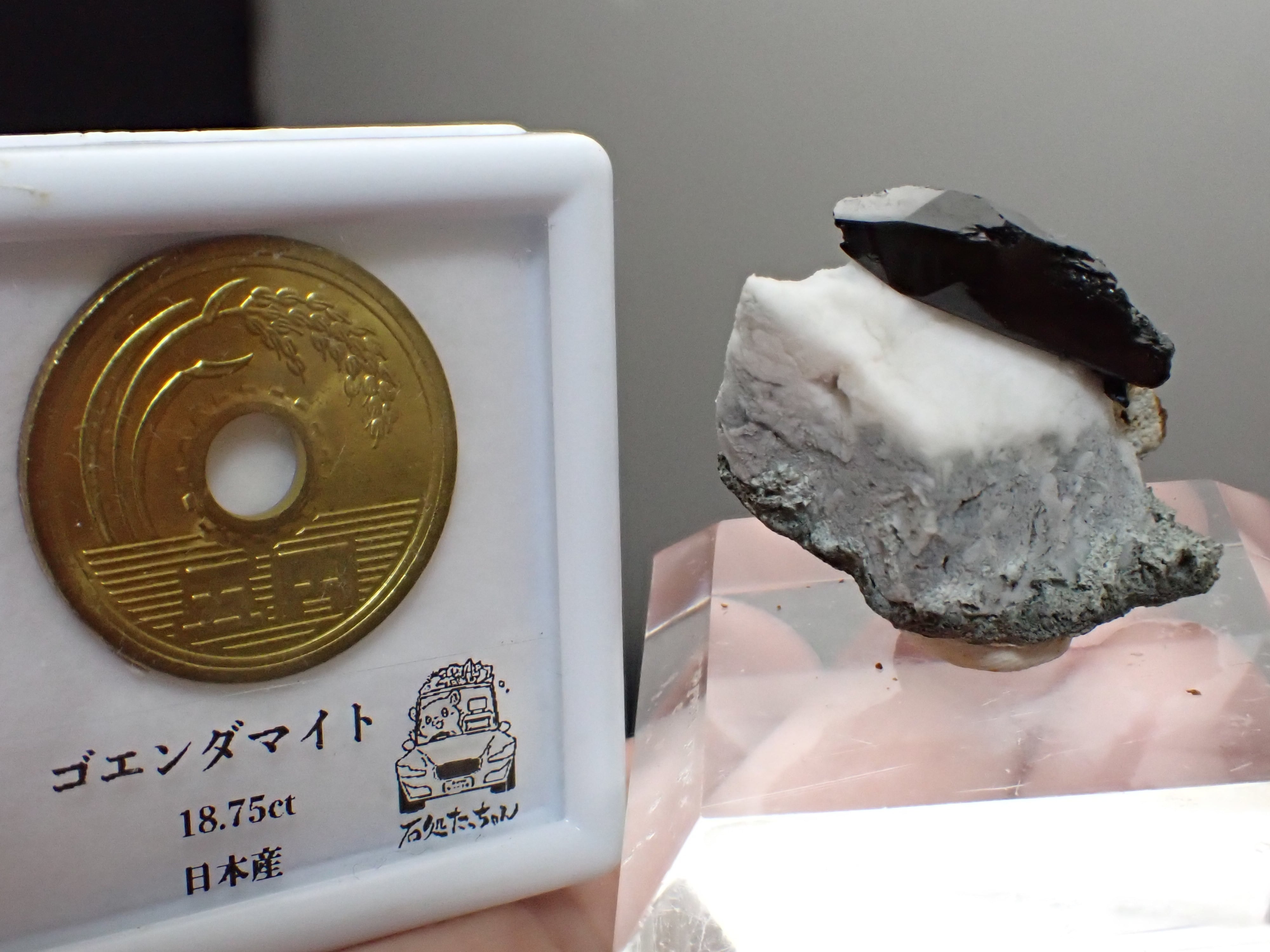 海王石】ネプチュナイト 希少な母岩付き 原石 標本 | 石処たっちゃん