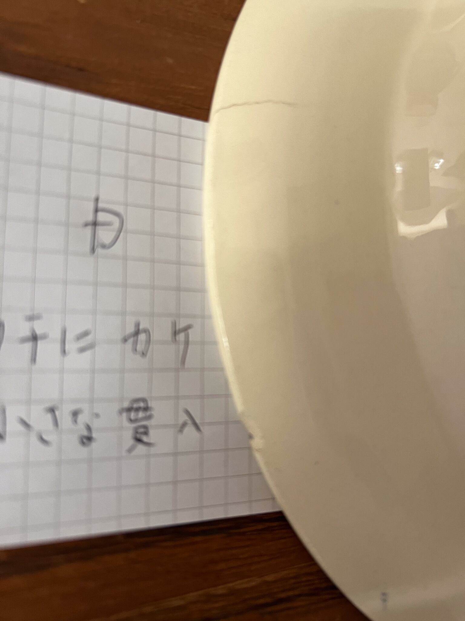 サルグミンヌ スープ皿 アンティークプレート D フランスアンティーク